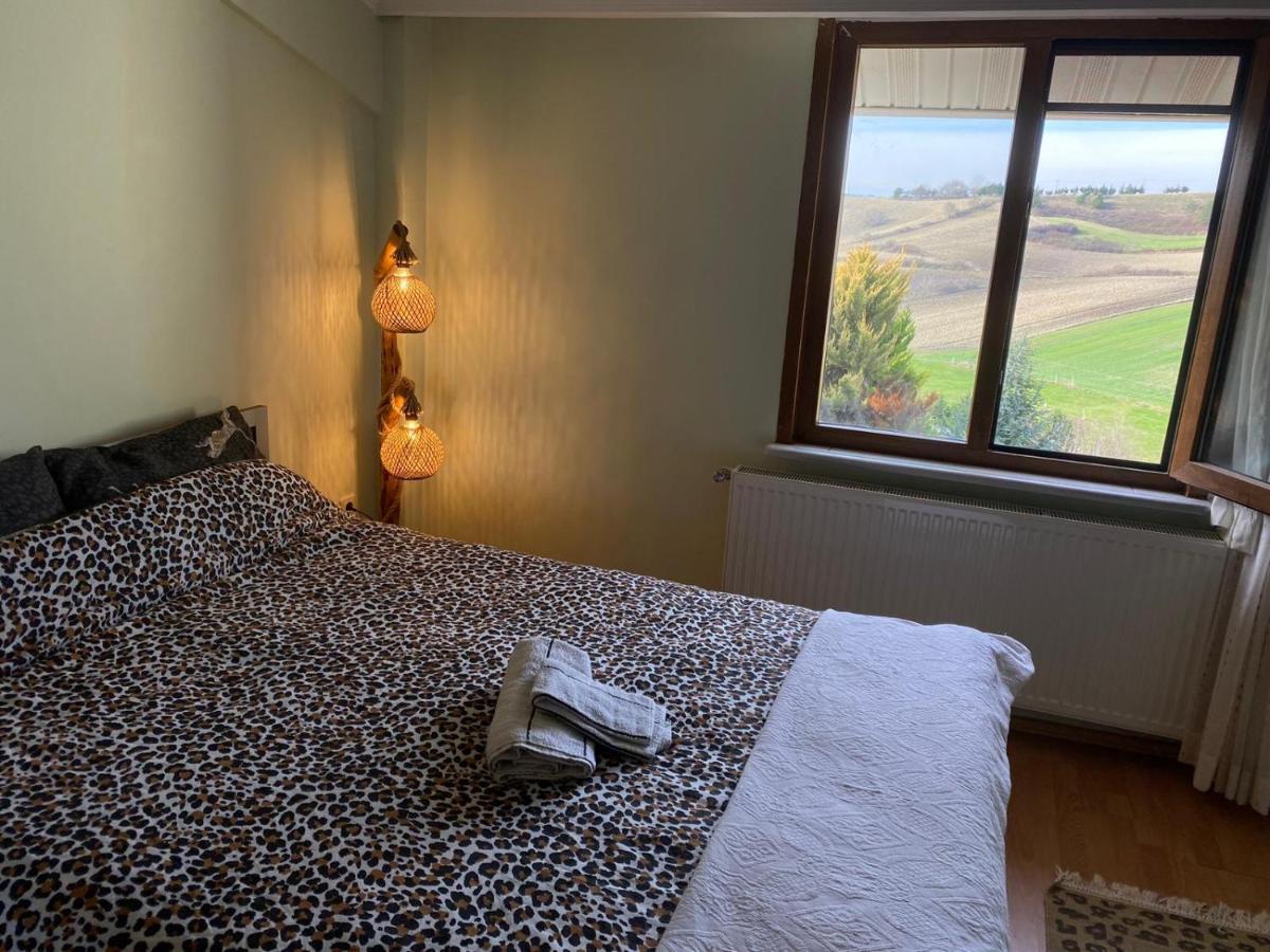 Havalimanina Yakin Orman Icinde Ferah Villa1 Arnavutkoy Exterior photo